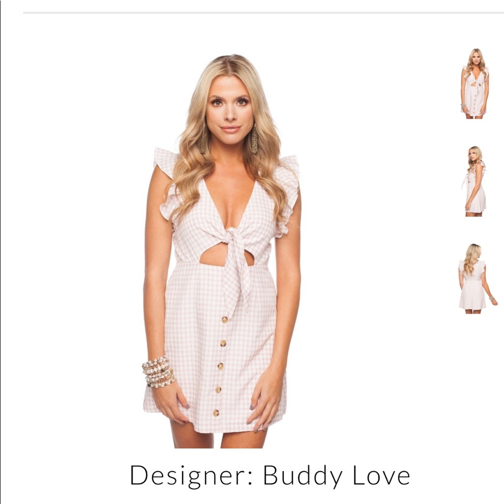 Designer Buddy Love Twiggy. Maybe Gingham dress
